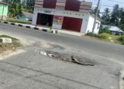 Jembatan Penghubung ke Rusunawa di Desa Teratai Pohuwato Rusak Parah
