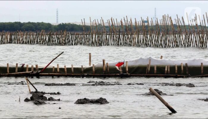 Kerugian Akibat Pagar Laut Ilegal Capai Rp116,91 Miliar