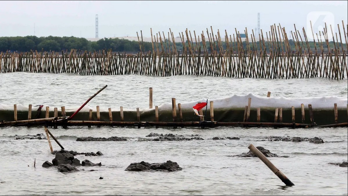 Direktorat Jenderal Pengawasan Sumber Daya Kelautan dan Perikanan (PSDKP) Kementerian Kelautan dan Perikanan (KKP) telah melakukan penyegelan pagar laut di perairan Bekasi pada 15 Januari 2025. (Liputan6.com/Herman Zakharia)/Hibata.id