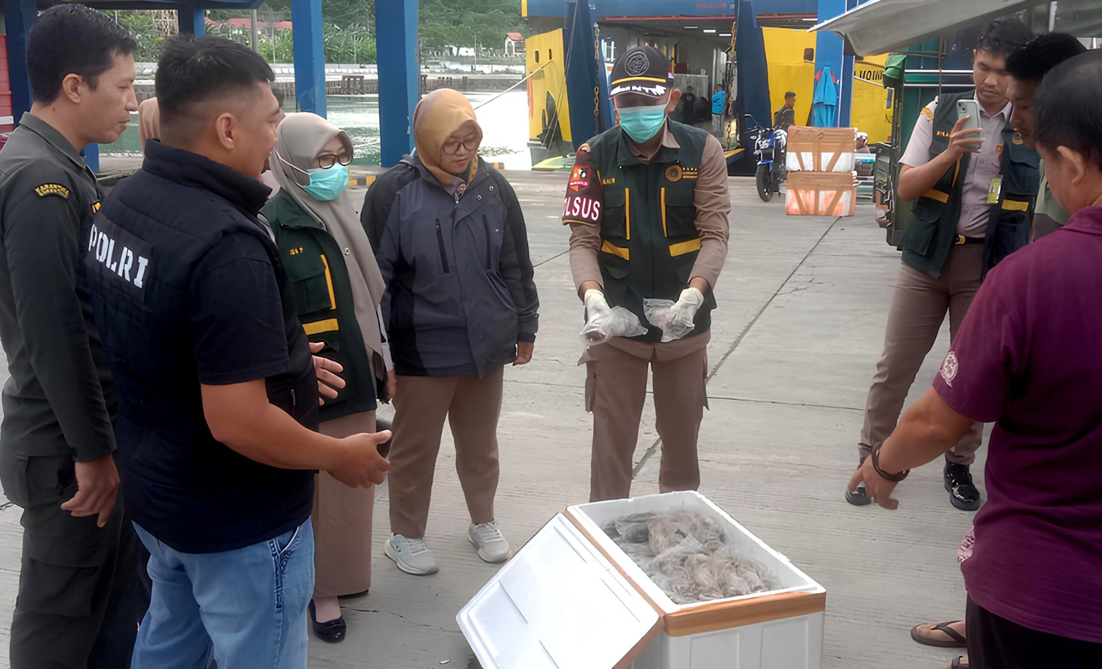 Petugas Amankan Musang, Kelelawar hingga Tikus Beku Diamankan di Pelabuhan Gorontalo/Hibata.id