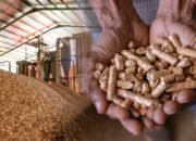 Wood Pellet Jadi Komoditas Ekspor Andalan Gorontalo ke Pasar Jepang