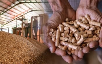 Wood Pellet Jadi Komoditas Ekspor Andalan Gorontalo ke Pasar Jepang