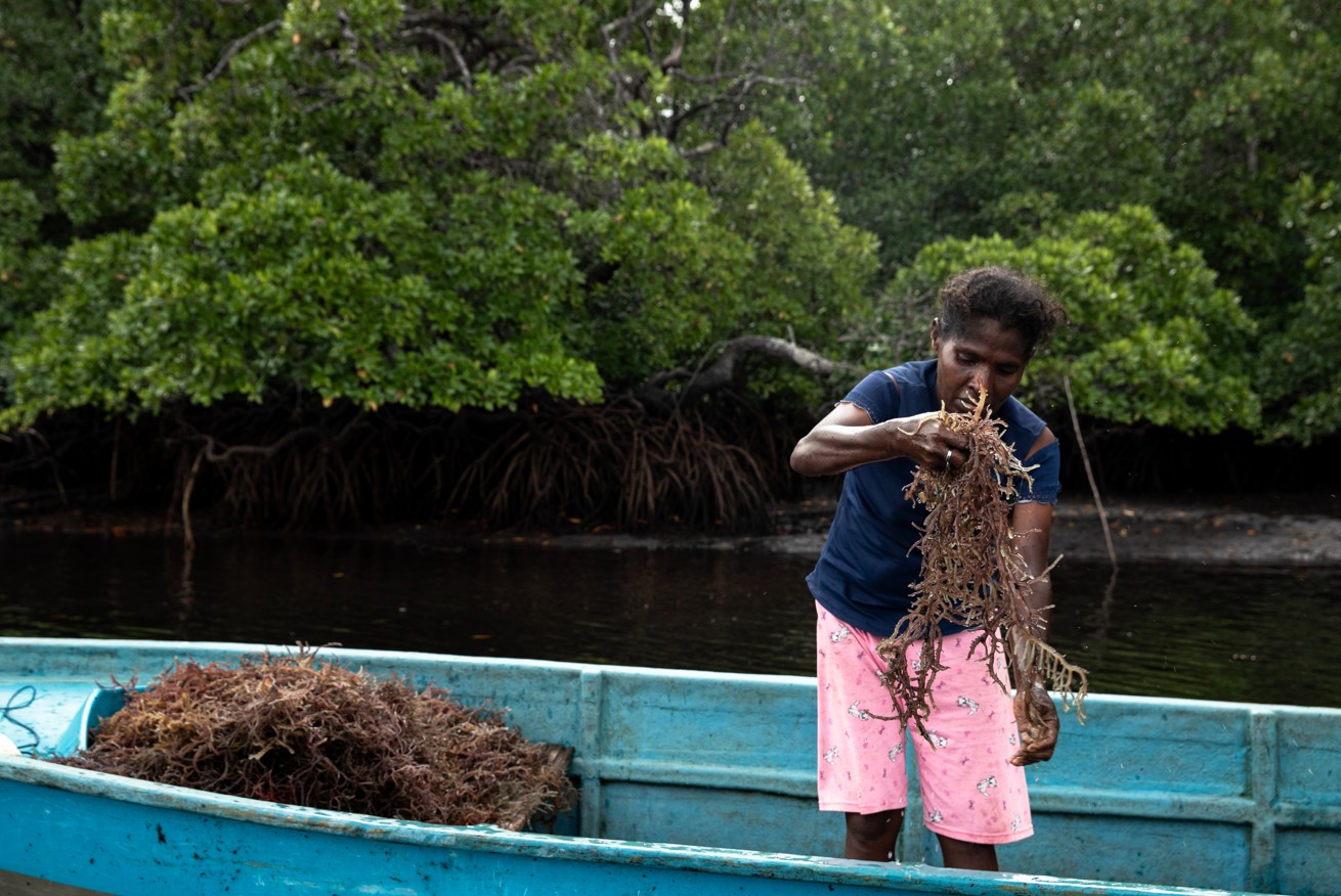 Masyarakat Adat yang tinggal di wilayah pesisir dan pulau-pulau kecil juga menerapkan praktik pengelolaan sumber daya perikanan berbasis kearifan lokal/FWI/Hibata.id