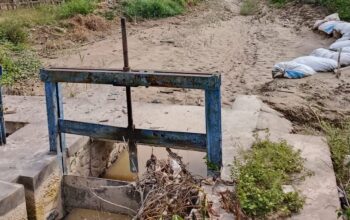 Saluran irigasi yang rusak akibat sedimentasi dari PETI Hulawa. (Foto: Defri)