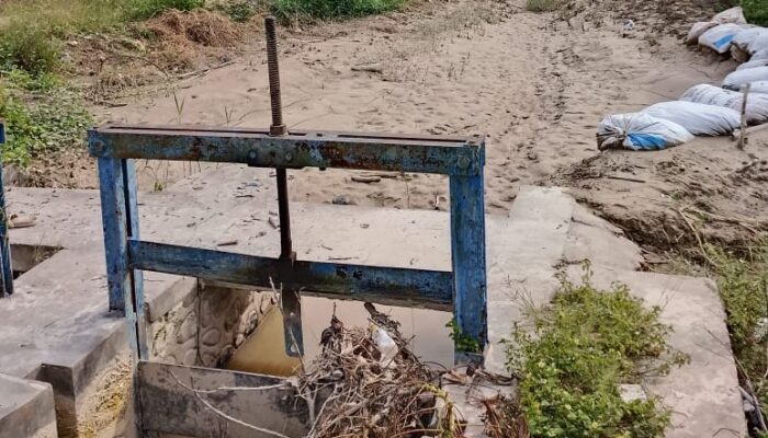 Aktivitas PETI Hulawa Berdampak Buruk ke Petani Sawah di Duhiadaa