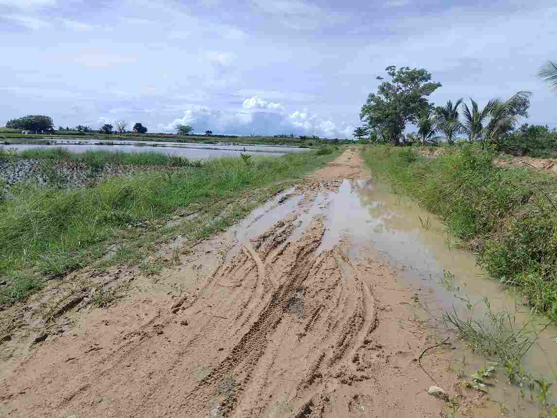Proyek pembangunan jalan desa di Dusun Hiasan I, Desa Buntulia Barat. (Foto: Delri/Hibata.id)
