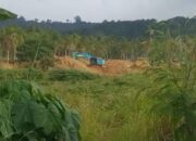 Aktivitas PETI di Pohuwato Terus Menggila, Penegakan Hukum Lemah
