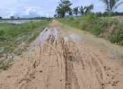 Akui Kerusakan, PUPR Pohuwato Akan Perbaiki Proyek Jalan Desa di Buntulia Barat