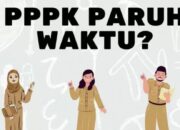 Deadline 15 September, Peserta PPPK Paruh Waktu Diminta Segera Isi DRH