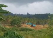 PETI di Balayo Masih Terus Beroperasi, Hukum Tinggal Cerita
