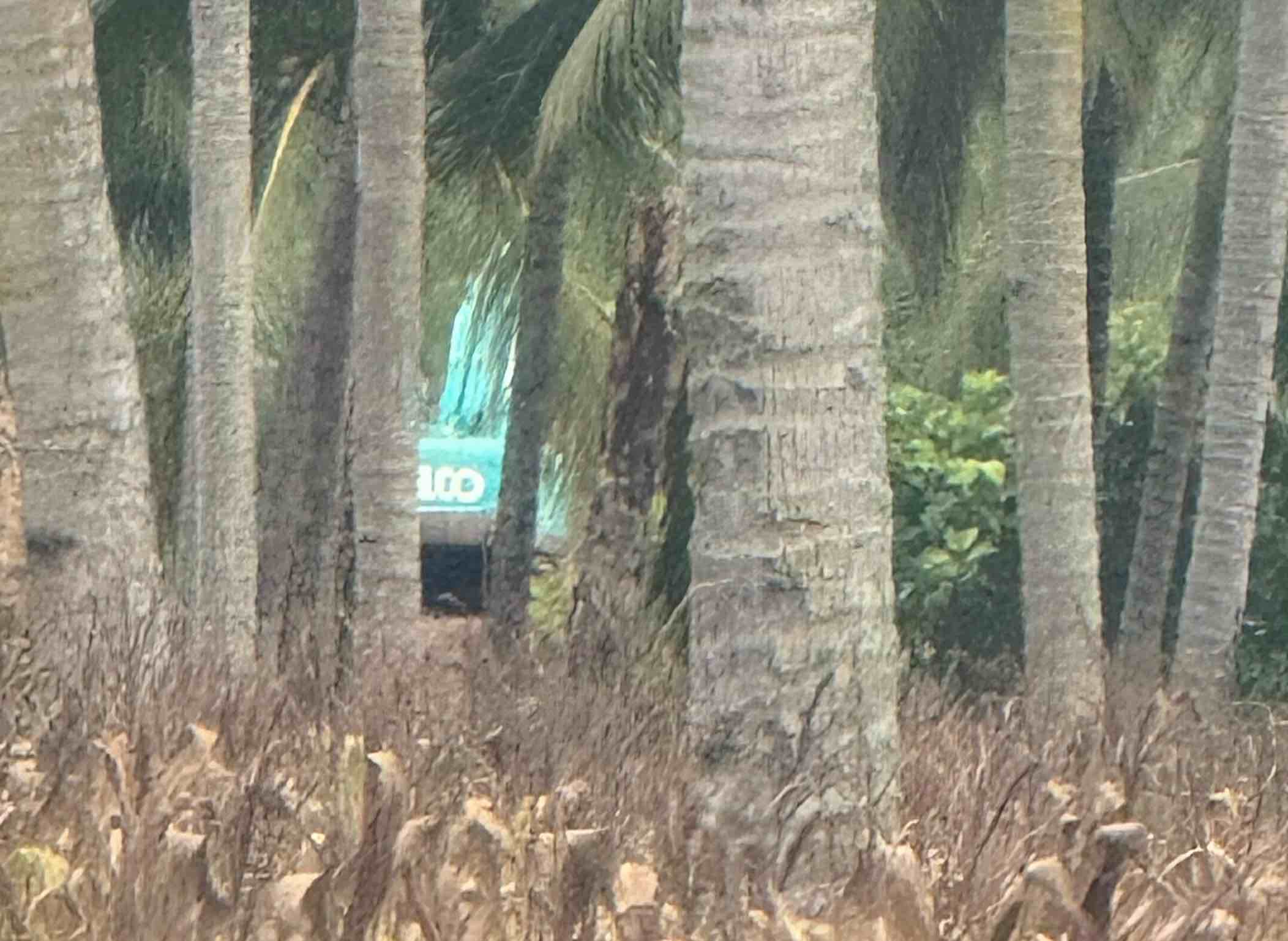 Alat berat yang sedang beroperasi di PETI yang berada di belakang rumah warga di Dusun Dusun Pemancar Desa Balayo. (Foto: Istw)