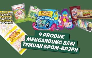 BPJPH Temukan 9 Produk Pangan Mengandung Babi, 7 Di Antaranya Sudah Bersertifikat Halal/Hibata.id