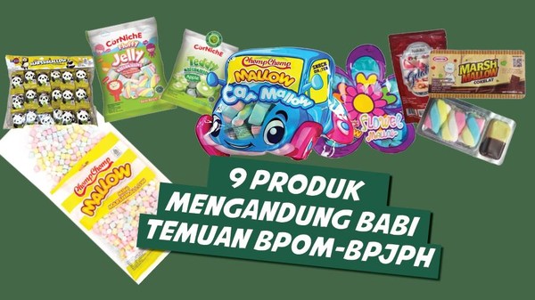 BPJPH Temukan 9 Produk Pangan Mengandung Babi, 7 Di Antaranya Sudah Bersertifikat Halal/Hibata.id