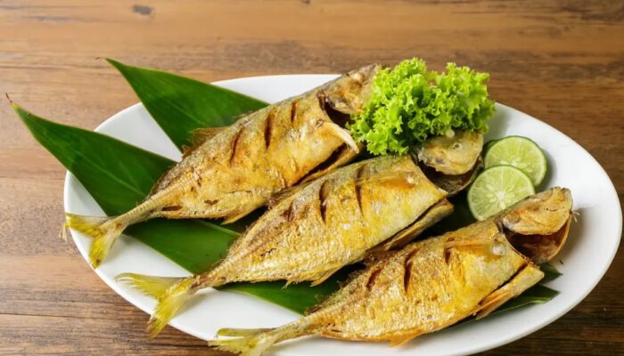Lezatnya Ikan Oci Gorontalo, Komoditas Unggulan Teluk Tomini
