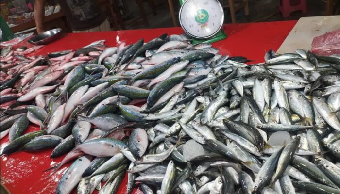 Pasokan Ikan Menurun, Harga di Pasar Gorontalo Naik hingga 60 Persen