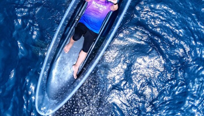 Desa Wisata Botubarani, Menyapa Hiu Paus Jinak dari Perahu Kaca