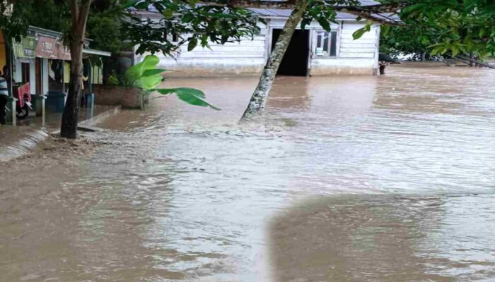 Sungai Meluap, Rumah Warga di Desa Pangeya Wonosari Tergenang Banjir