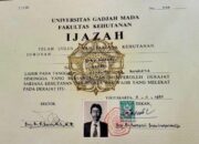 ijazah jokowi