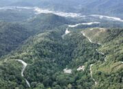 Lokasi proyek pertambangan Pani Gold Project di Pohuwato. (Foto: PT Merdeka Copper Gold Tbk)