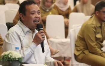 Anggota DPRD Fraksi Partai Persatuan Pembangunan (PPP) Hi. Faisal Hulukati/Hibata.id