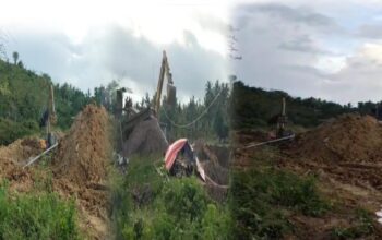 PETI Balayo Terus Menggila, Kapolsek Patilanggio Pura-pura Mati