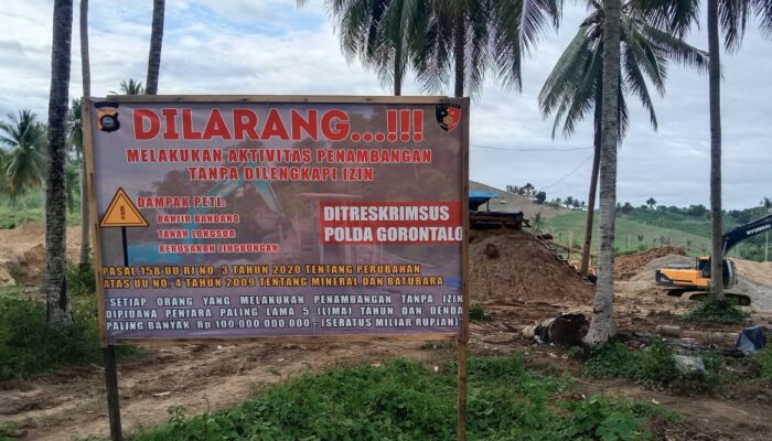 PETI Balayo Terus Beroperasi dengan 5 Alat Berat, Tapi APH Tutup Mata