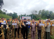 Panen jagung varietas hibrida MAXXI II dilakukan di lahan pertanian Kelompok Tani Mekar Jaya