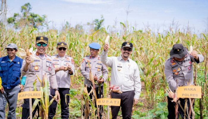 Bupati Buteng Hadiri Panen Raya Jagung Kuartal II, Target Swasembada Pangan 2025