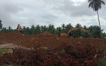 Alat berat sedang beroperasi di pertambangan emas tanpa izin (PETI) di wilayah tanah komunal di Desa Popaya, Kecamatan Dengilo, Pohuwato. (Foto: Dok. Hibata.id)