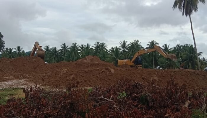 PETI Dengilo Masih Mengganas di Tanah Komunal, Penertiban Tak Berpengaruh?