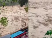Banjir bandang kembali menerjang kawasan pertambangan di wilayah Marisa, Pani Luar, hingga Potanga Lo Dam, Kabupaten Pohuwato, Gorontalo. (Foto: Facebook Gun Vanzel)