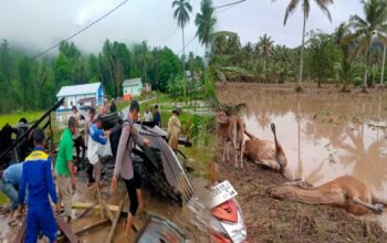 Banjir Bandang Terjang Dua Desa di Pohuwato, Dua Warga Tewas Terseret Arus