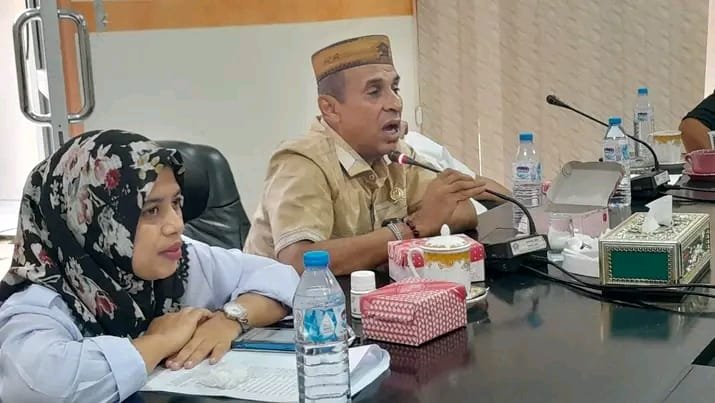Wakil Ketua DPRD Pohuwato, Hamdi Alamri. (Foto: Dok. Istw Hibata.id)
