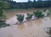 Banjir yang melanda Desa Winangun, Kecamatan Bukal abupaten Buol, Sulawesi Tengah, pada Kamis sore, 26 Juni 2025. (Foto: Jaringan Jaga Deca)