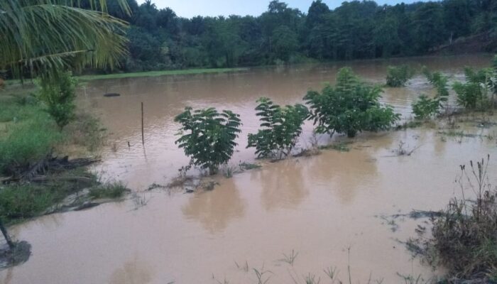 Banjir Ancam Ketahanan Pangan Warga Desa Winangun