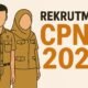 BKN Siap Buka Seleksi CPNS 2025/Hibata.id