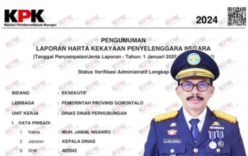 Tangkapan layar Kepala Dinas Perhubungan Provinsi Gorontalo, Muh. Jamal Nganro/Hibata.id