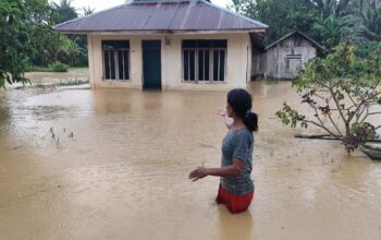 Banjir Berulang Rendam Sawah Warga Winangun, Petani Terancam Gagal Panen