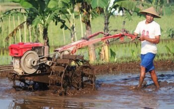 Petani sedang membersihkan sawahnya. Gambar oleh Mufid Majnun dari Pixabay