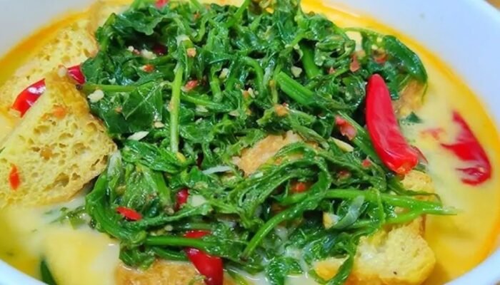 Sayur Pakis Jadi Kuliner Khas Sehat yang Diburu Wisatawan di Gorontalo