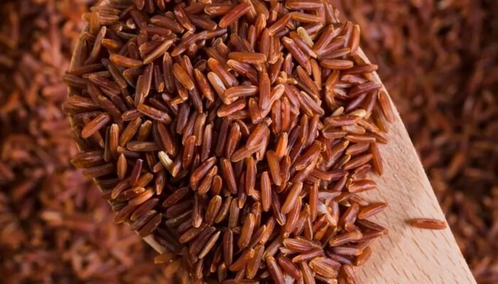 Riset BRIN: Beras Warna Jadi Alternatif Sehat untuk Kendalikan Diabetes