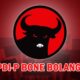PDI Perjuangan Bone Bolango/Hibata.id