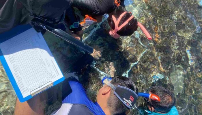 Enam Spesies Lamun Ditemukan di Perairan Torosiaje