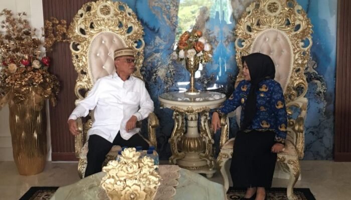 Bahas Sinergi dan Dukungan UMKM, Bupati Bone Bolango Terima Kunjungan Wagub