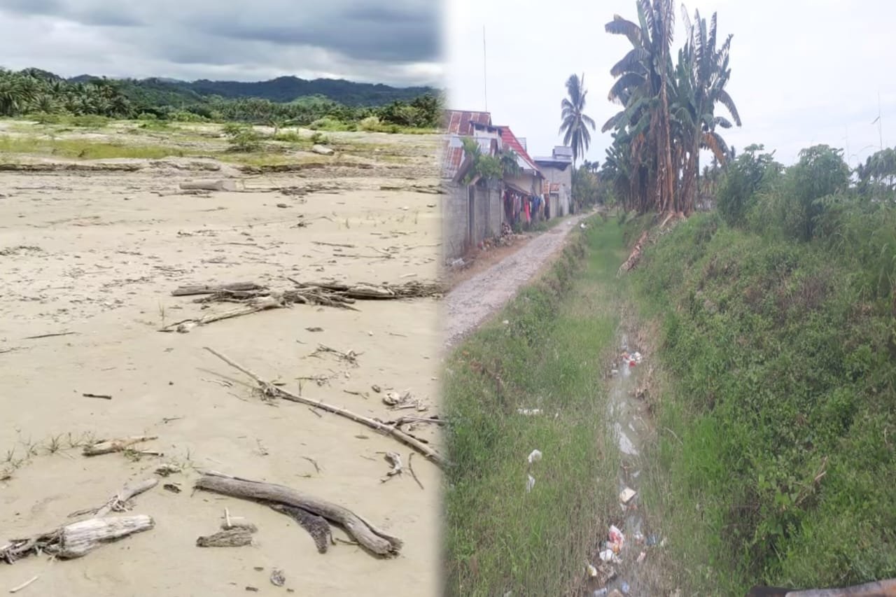 Alih-alih menikmati hasil panen, mereka kini terjebak dalam kesulitan akibat sedimentasi dari aktivitas tambang ilegal yang merusak aliran irigasi/Hibata.id