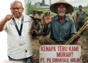 LP3G Siap Laporkan PT PG Gorontalo ke Kejati, Kerugian Negara Miliaran