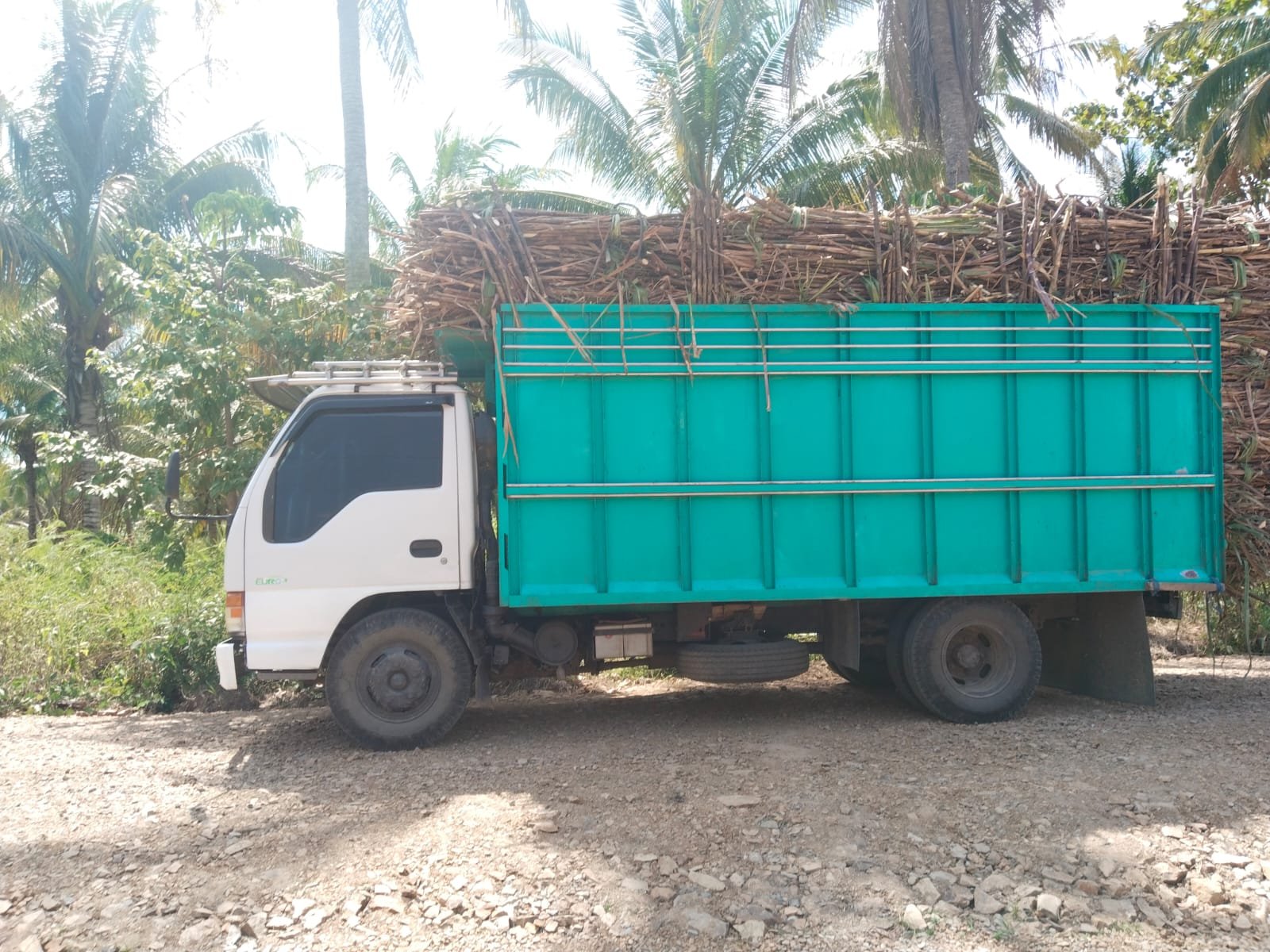 Aktivitas di kebun lahan PT PG Gorontalo/Hibata.id