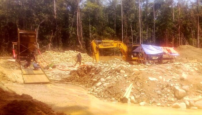 PETI Busak 2 Buol Bebas Beroperasi, Aktivis Tantang Aparat Bertindak