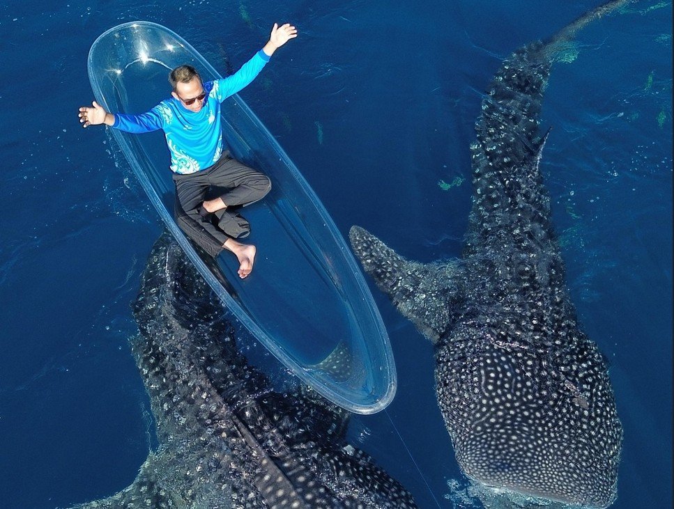 Ustaz Abdul Somad (UAS) ke wisata Hiu Paus Botubarani, Kecamatan Kabila Bone, Kabupaten Bone Bolango/Hibata.id