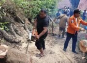 Longsor dan Pohon Tumbang Landa Sejumlah Wilayah, BPBD Kota Gorontalo Gerak Cepat